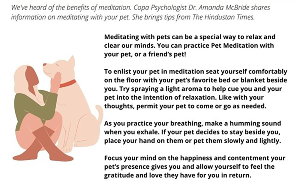 Meditating with pets can be a special way to relax and clear our minds. You can practice Pet Meditation with your pet, or a friend’s pet! 

To enlist your pet in meditation, seat yourself comfortably on the floor with your pet’s favorite bed or blanket beside you. Try spraying a light aroma to help cue you and your pet into the intention of relaxation. Like with your thoughts, permit your pet to come or go as needed. 