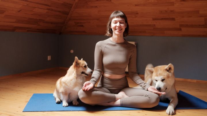 Have You Tried Pet Meditation